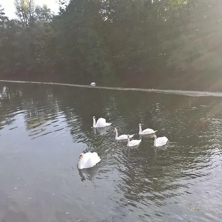 Ξενοδοχείο Les Rives De L'isle Saint-Astier (Dordogne)