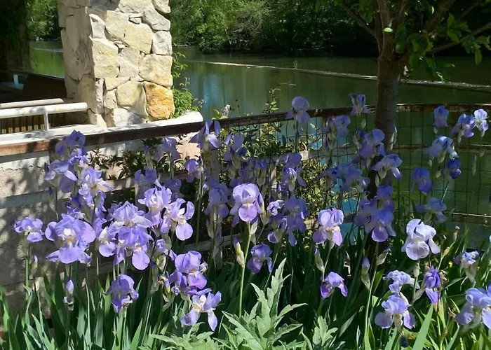 Hotel Les Rives De L'isle Saint-Astier (Dordogne)