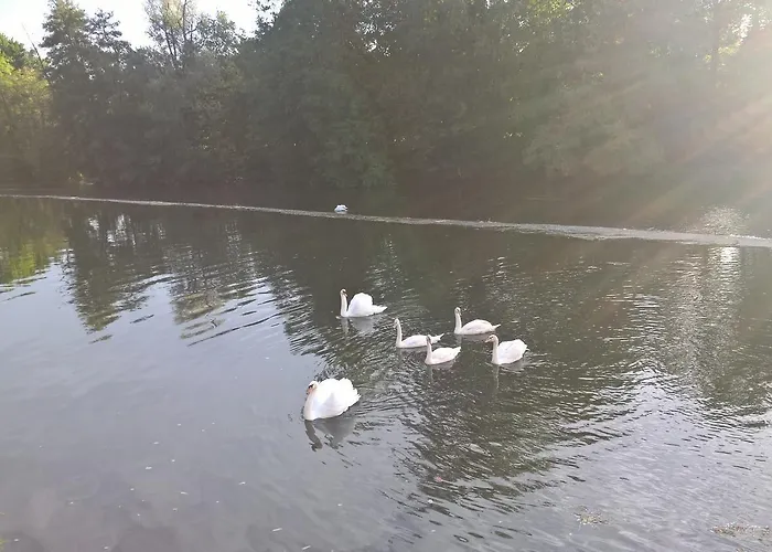 Hotel Les Rives De L'isle